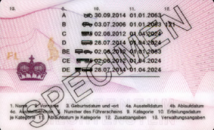 What are the types and importance of a driving license?