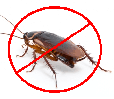 How To Eliminate Cockroaches completely