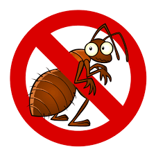 Get Rid of Pests in Southend with Professional Pest Control