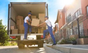 A Comprehensive Guide to Removals Essex