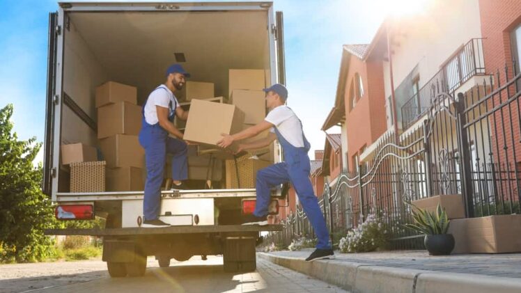 A Comprehensive Guide to Removals Essex