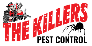 The Ultimate Guide to Pest Control in Enfield