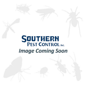 How Pest Control Services Can Save Your Property From Incessant Infestations
