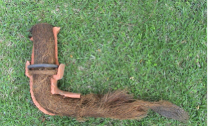 Effortlessly Clearing Blocked Drains: Tips and Tricks