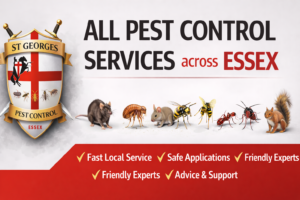 Pest Control Services in Essex: Keeping Your Home Pest-Free and Healthy